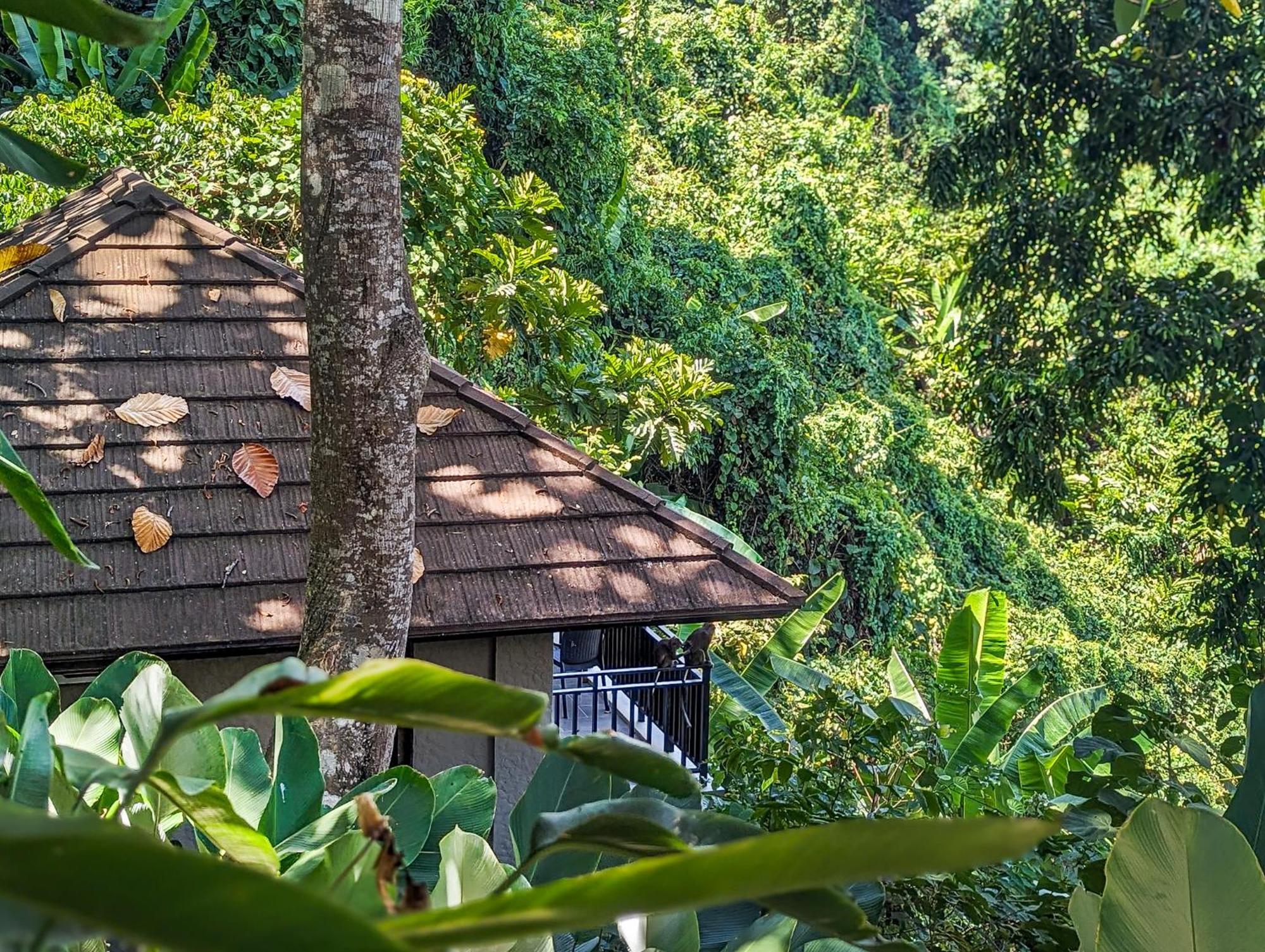 Perch El Nido'S Seaview Villas Overlooking Marimegmeg エクステリア 写真