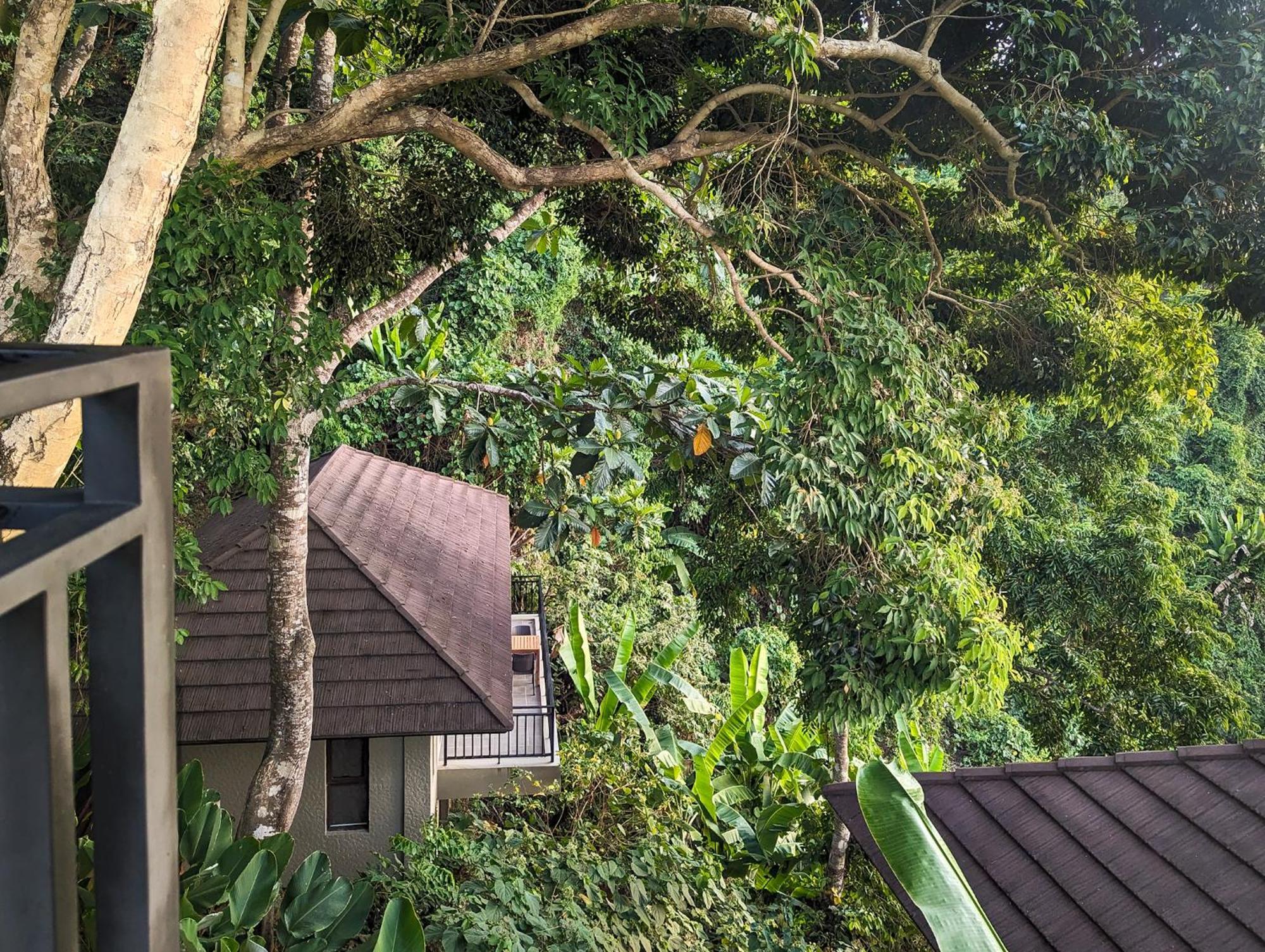 Perch El Nido'S Seaview Villas Overlooking Marimegmeg エクステリア 写真